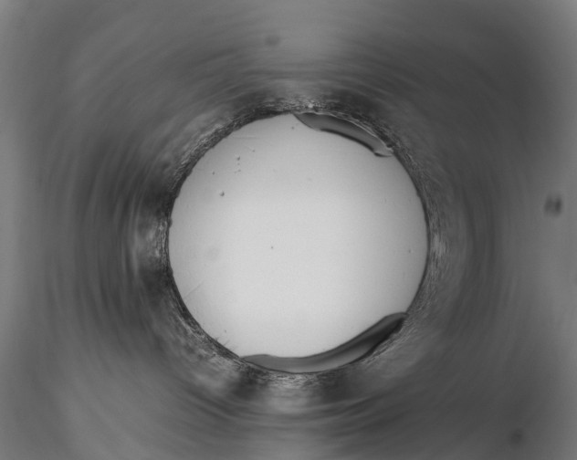 X0000115620096200912011625