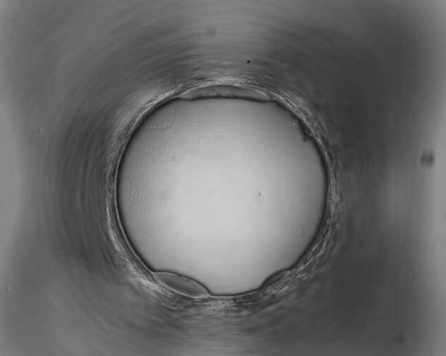 X0000115620097200912011624