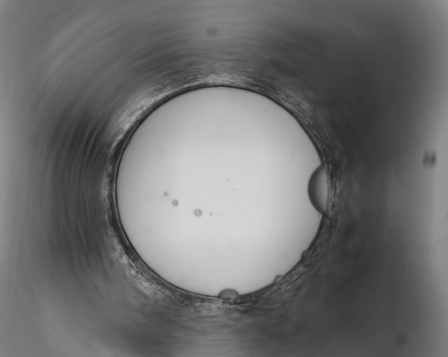 X0000115620098200912011624