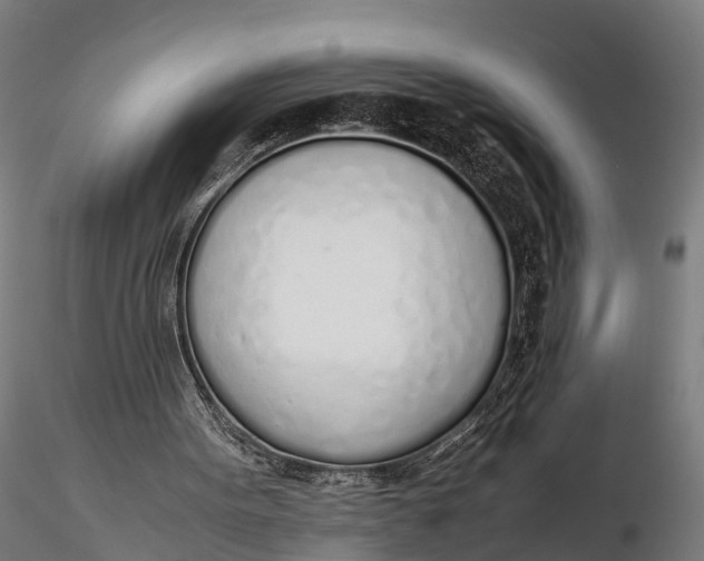 X0000115620099200912011624