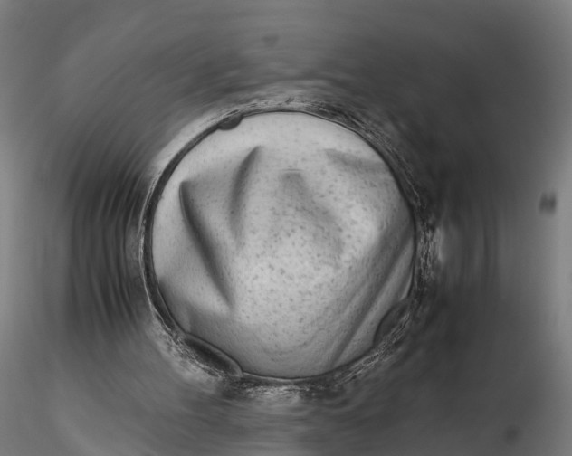 X0000115620100200912011624