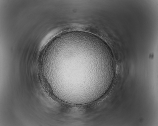 X0000115620101200912011624