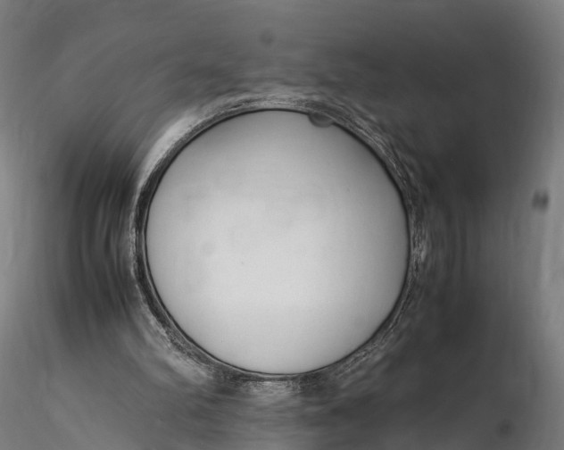 X0000115620102200912011624