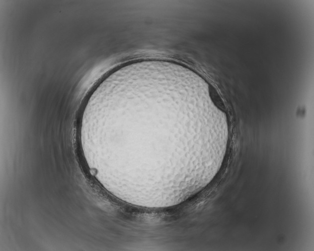 X0000115620103200912011624