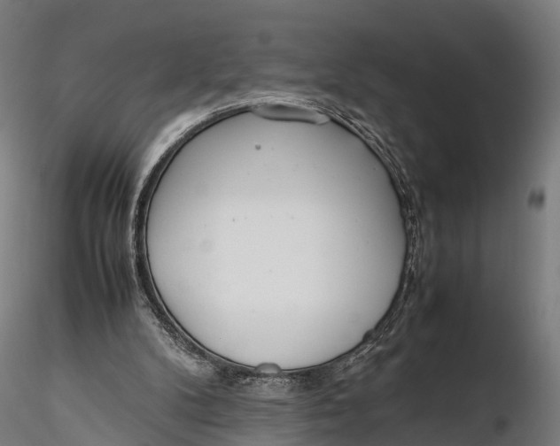 X0000115620104200912011624