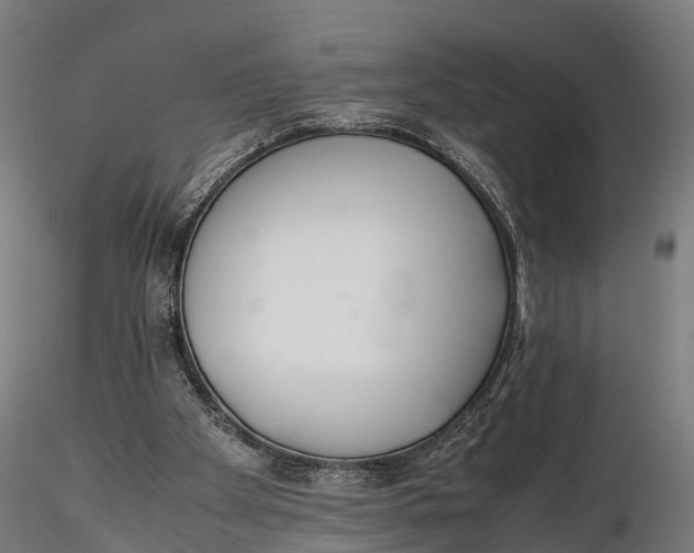 X0000115620105200912011624