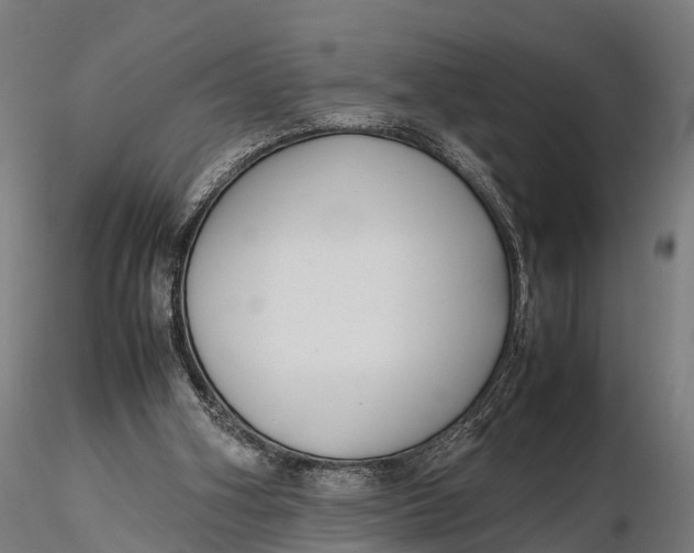 X0000115620106200912011624