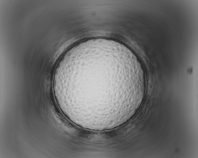 X0000115620107200912011624