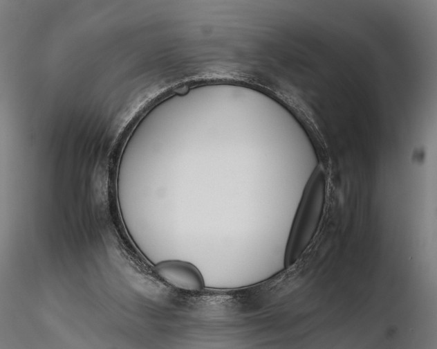 X0000115620108200912011624