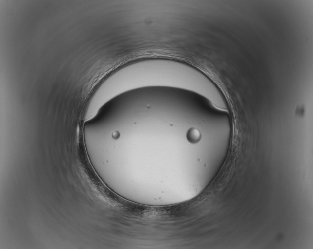 X0000115620109200912011624