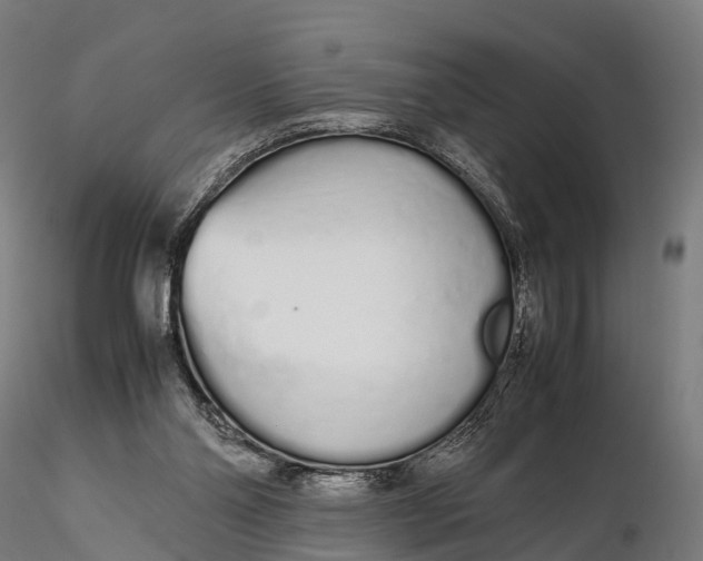 X0000115620110200912011624