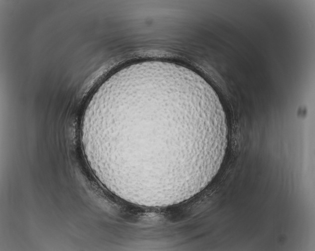 X0000115620111200912011624