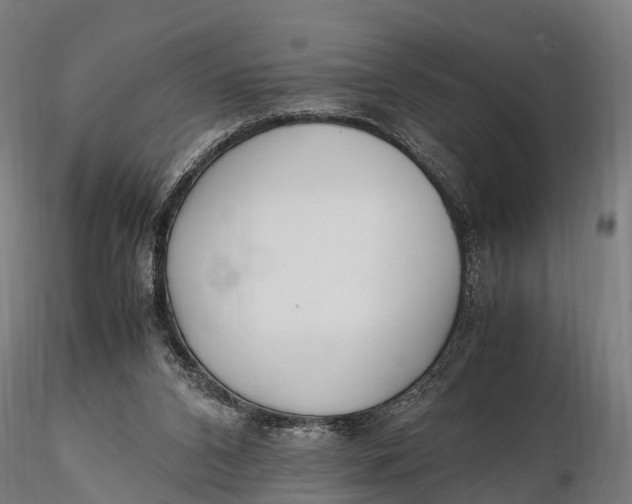 X0000115620112200912011624