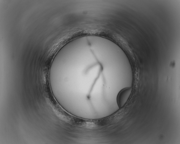 X0000115620114200912011624