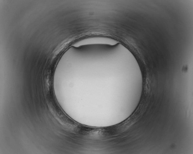 X0000115620116200912011624