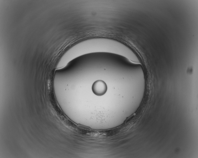 X0000115620117200912011624