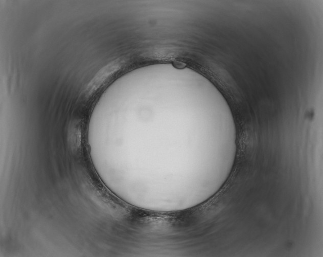 X0000115620120200912011624