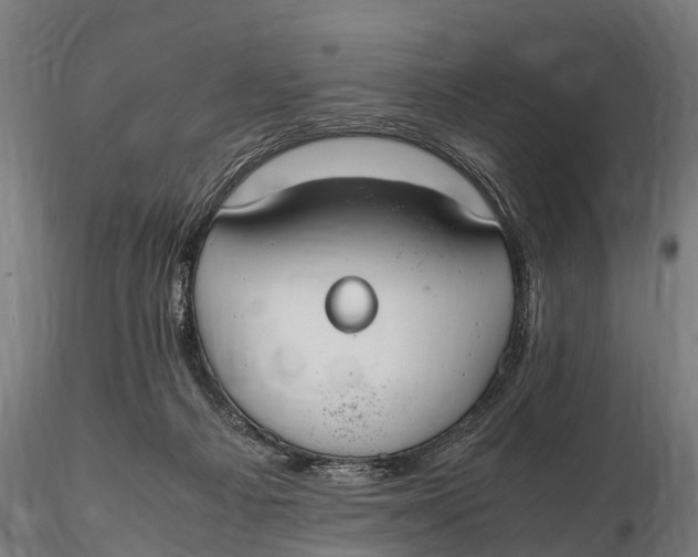 X0000115620121200912011624