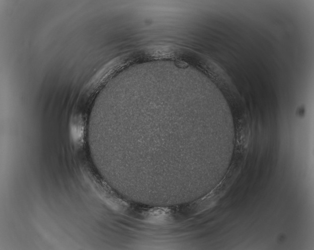 X0000115620124200912011624