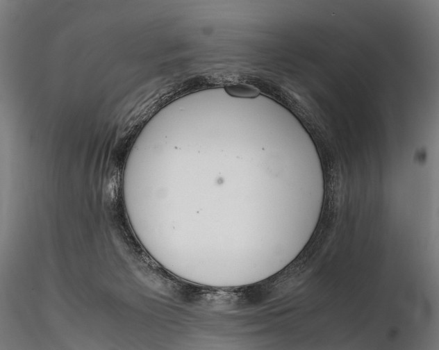 X0000115620125200912011624