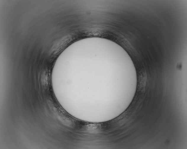 X0000115620126200912011624