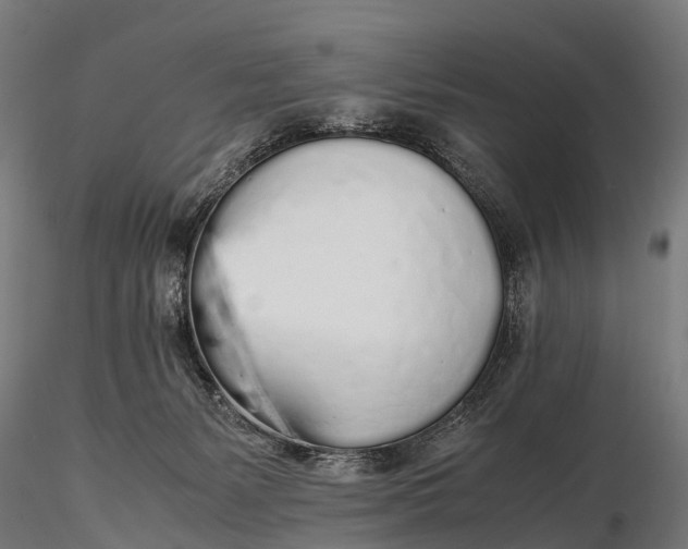 X0000115620127200912011624