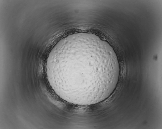 X0000115620128200912011624