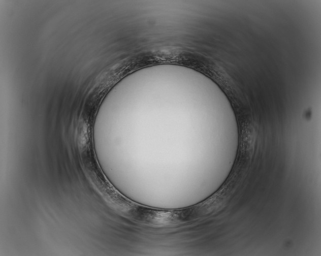 X0000115620130200912011624