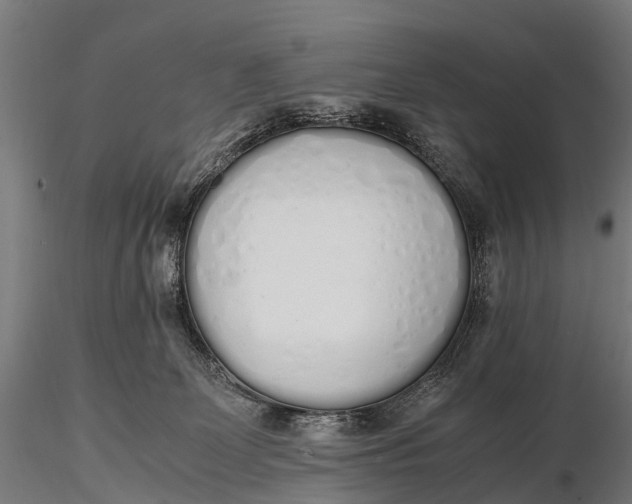 X0000115620131200912011624