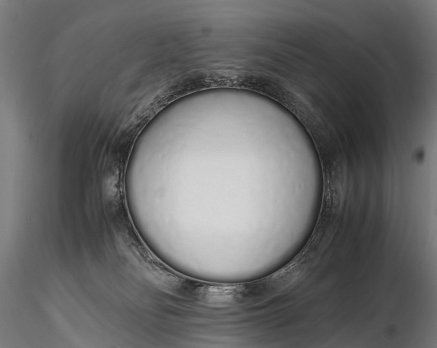 X0000115620134200912011624