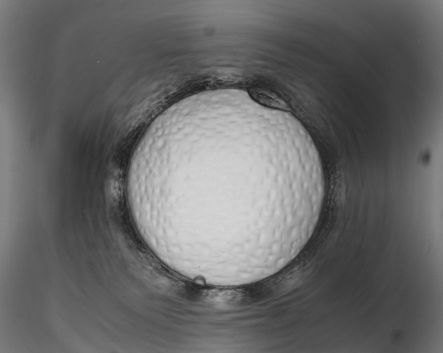 X0000115620135200912011623