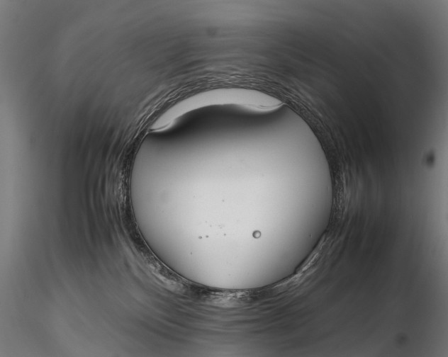 X0000115620136200912011623