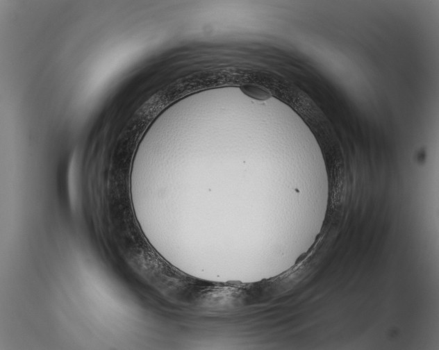 X0000115620140200912011623