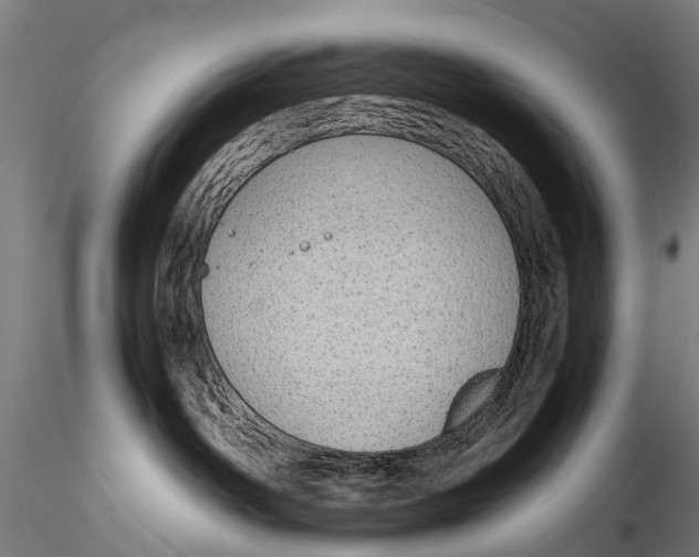 X0000115620142200912011623