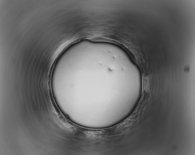 X0000115620147200912011622