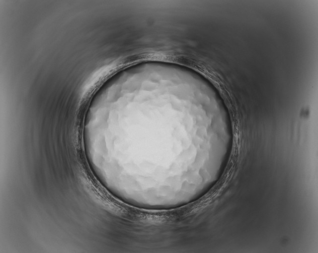 X0000115620149200912011622