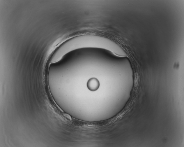 X0000115620150200912011622