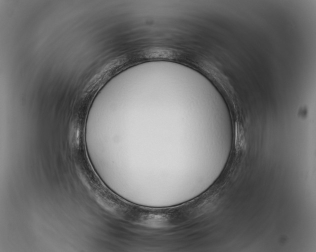 X0000115620157200912011623