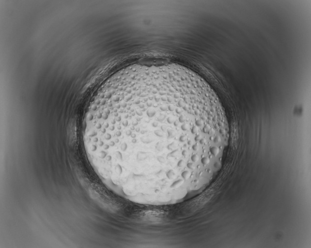 X0000115620158200912011623