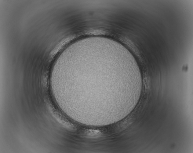 X0000115620159200912011623