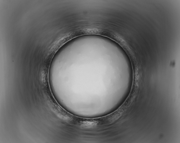 X0000115620161200912011623