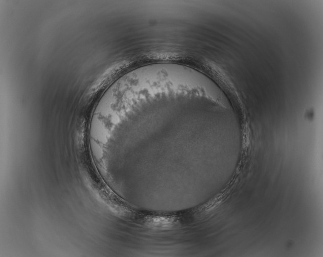 X0000115620163200912011623