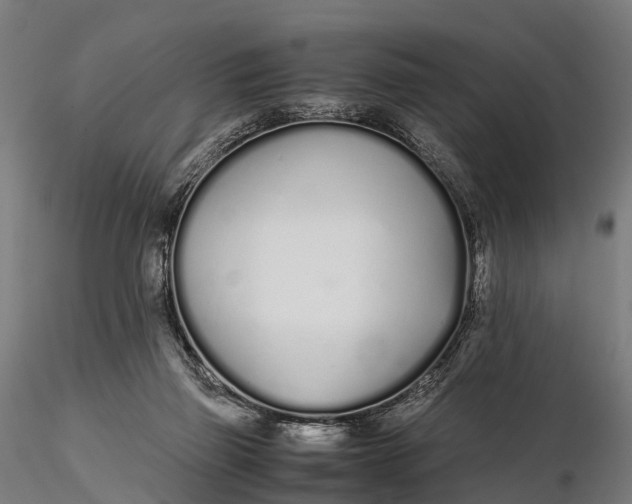 X0000115620165200912011623