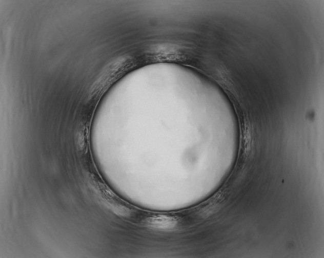 X0000115620169200912011623