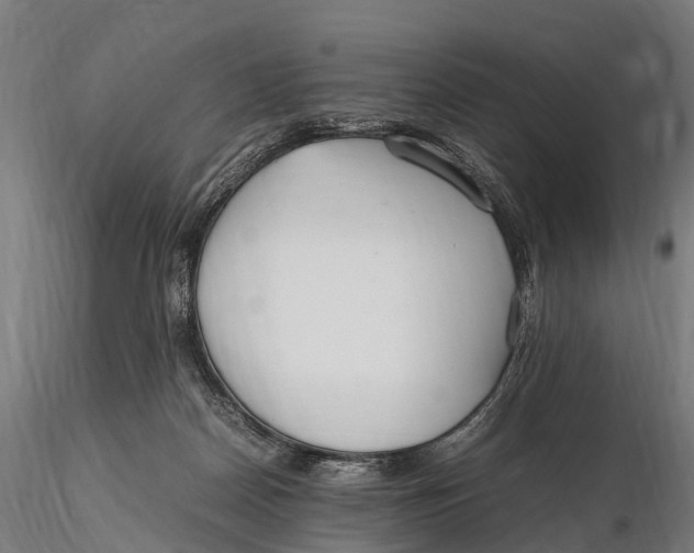 X0000115620170200912011623