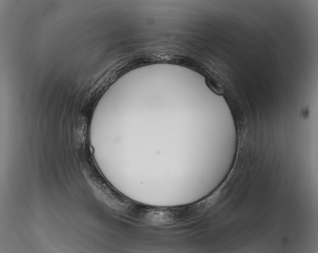 X0000115620174200912011623