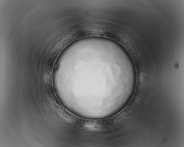 X0000115620177200912011623