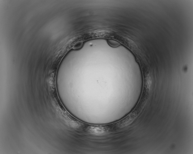 X0000115620181200912011623