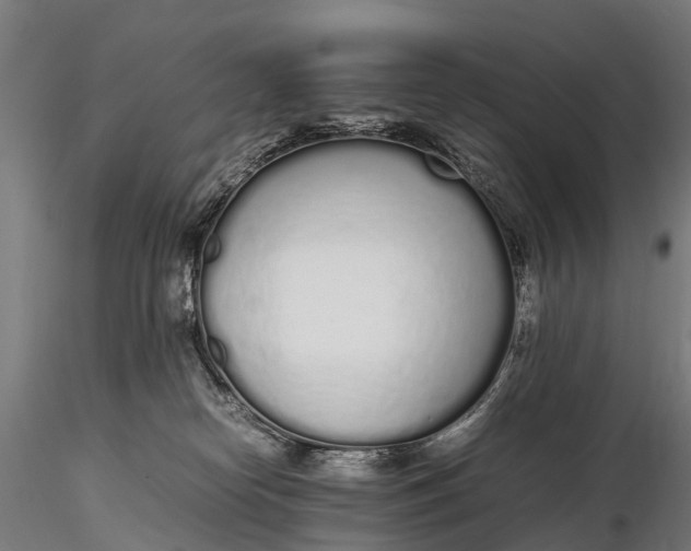 X0000115620182200912011623