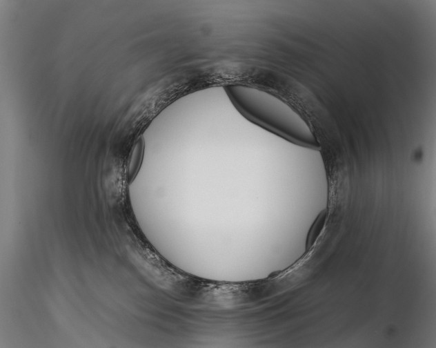 X0000115620186200912011623